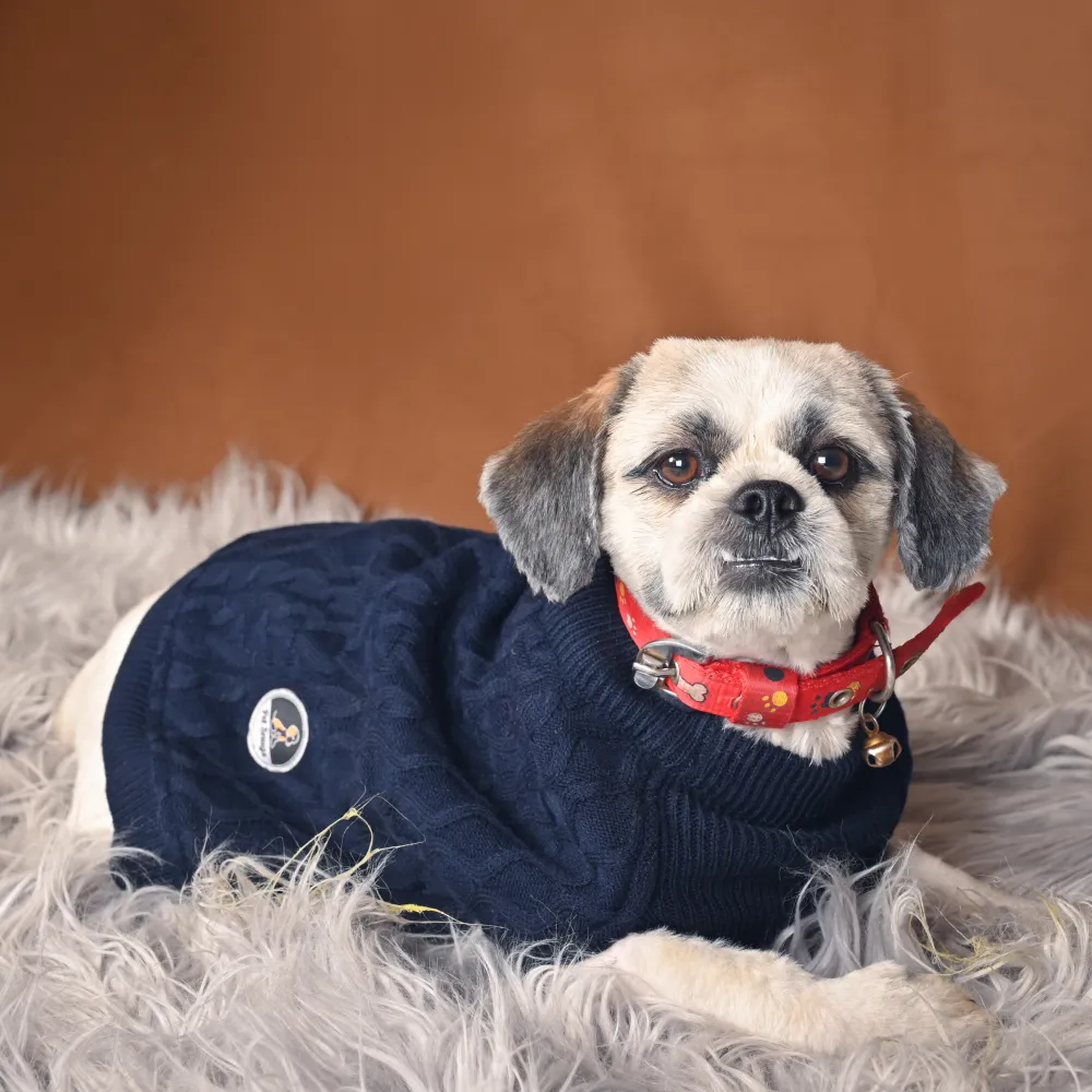 Petsnugs Cable Knit Sweater for Dogs and Cats (Navy Blue)