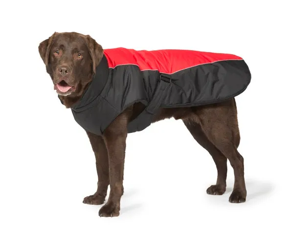 Sporty Dog Coats