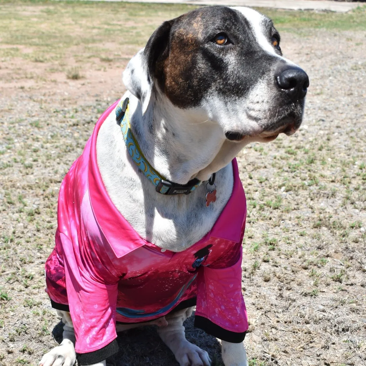 Sun Safe Dog Shirts - Mermaids