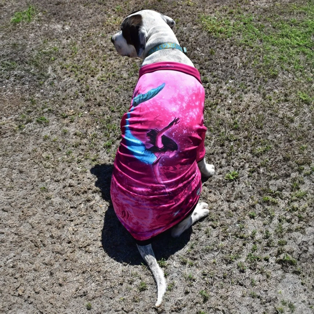Sun Safe Dog Shirts - Mermaids