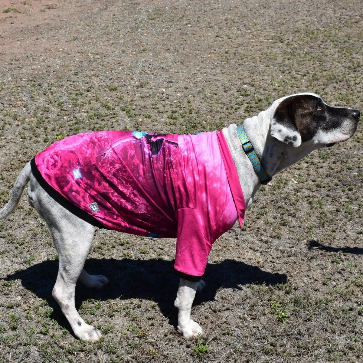 Sun Safe Dog Shirts - Mermaids